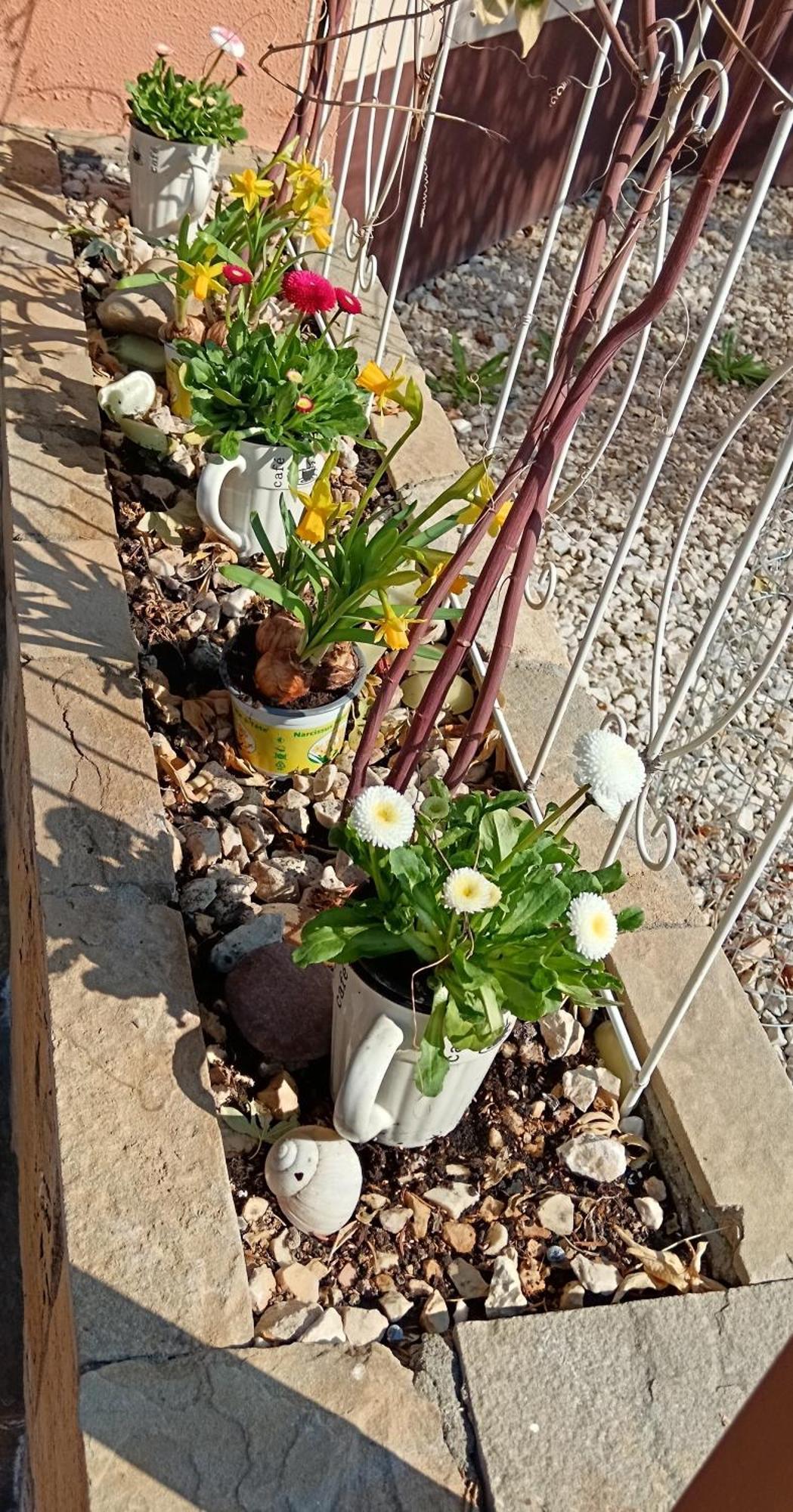 Harsfa Apartman Makó 외부 사진